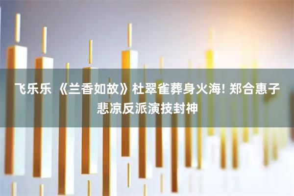 飞乐乐 《兰香如故》杜翠雀葬身火海! 郑合惠子悲凉反派演技封神